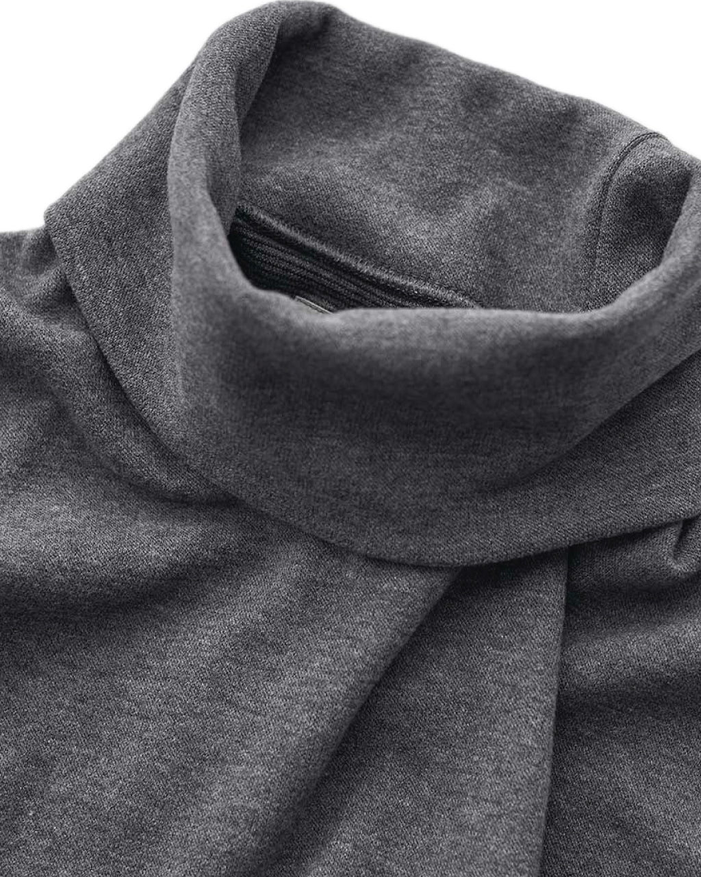 Premierewarm L/S Tee (turtle-neck)